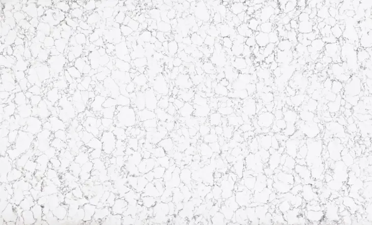 Bellatrux Blanco - Image 2
