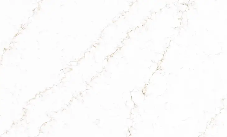 Castor Gold - Image 3