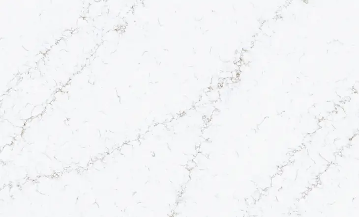 Castor Grey - Image 3