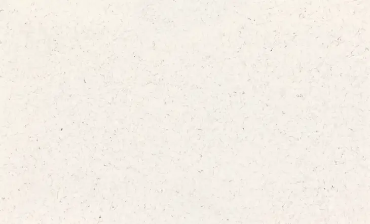 Polaris Beige - Image 2