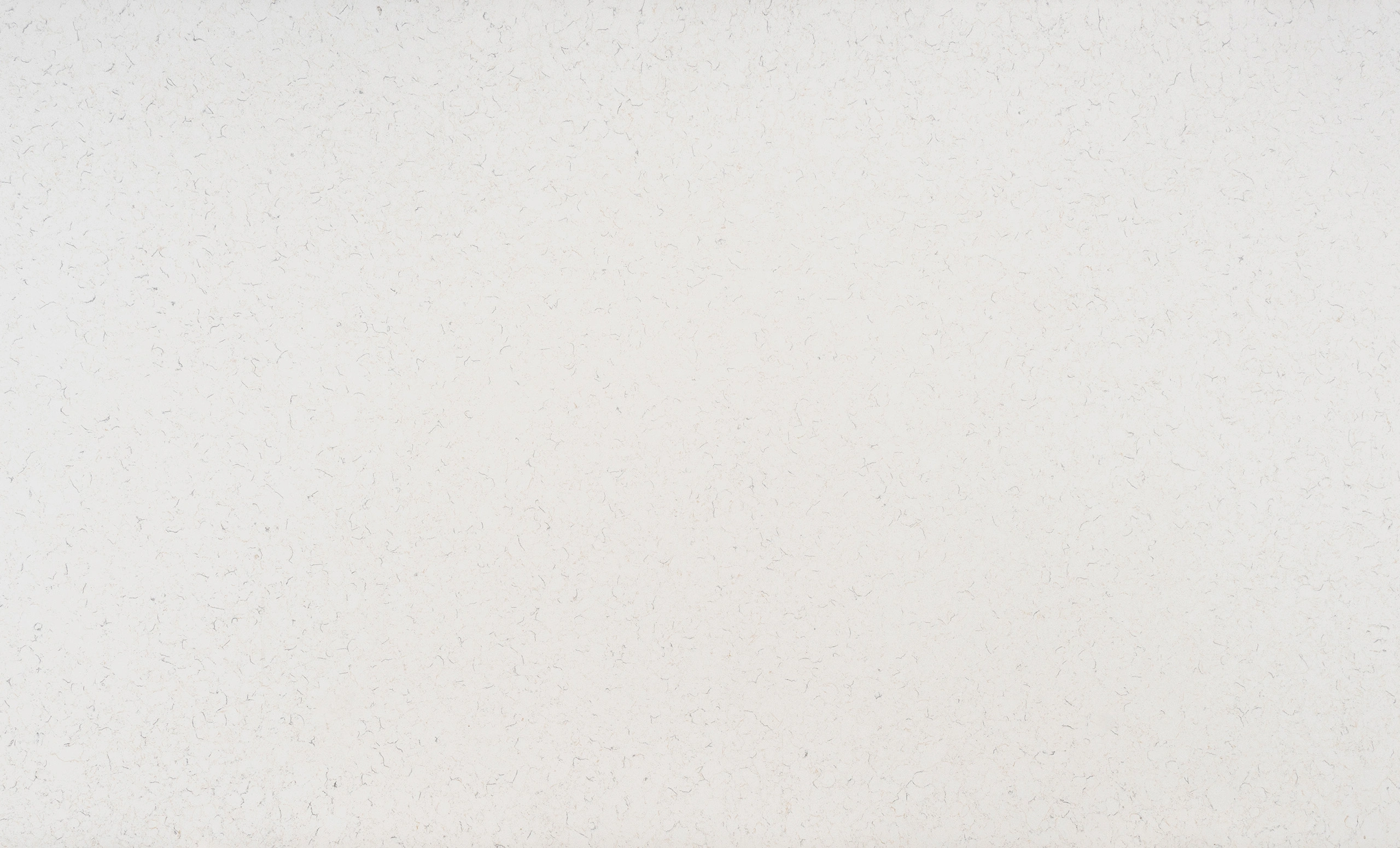 Canopus Breeze - Image 2